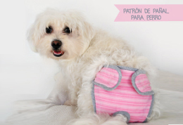 Featured image of post Patrones Ropa Para Perros Pincher En este caso quer a encontrar como hacer ropa a nuestras mascotas vamos a ver muchas p ginas y tutoriales para que nuestras mascotas no pasen fr o o se diviertan disfraz ndose simplemente