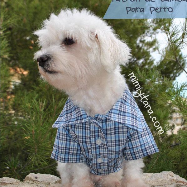 Patrón de Camisa para Perro Talla XS Mimi y Tara