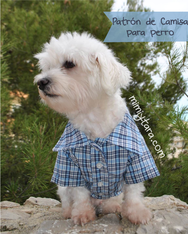 de Camisa para Perro Talla XL | Mimi Tara