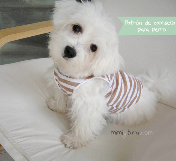 Patrón de camiseta para perro | Mimi y Tara