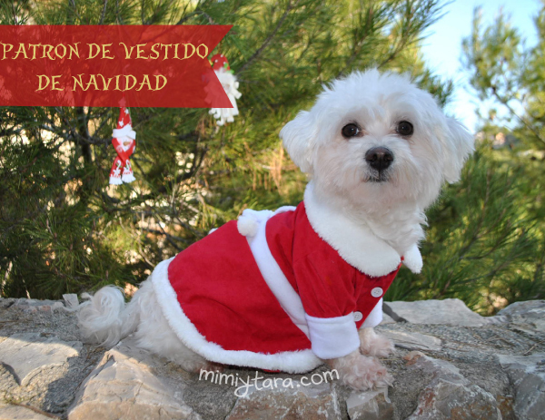 Patrones de vestido de Navidad para perro | Mimi y Tara